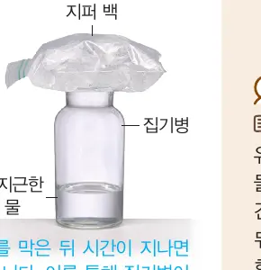 안개 실험 장치