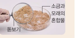 책에 나온 소금과 모래의 혼합물을 돋보기로 관찰하는 모습