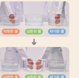 따뜻한 물과 차가운 물에 넣은 손을 상온의 물로 옮김